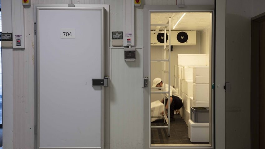 Câmara fria instalada — KazaPro